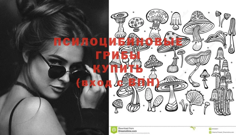 Галлюциногенные грибы Psilocybe  hydra как войти  Миасс 